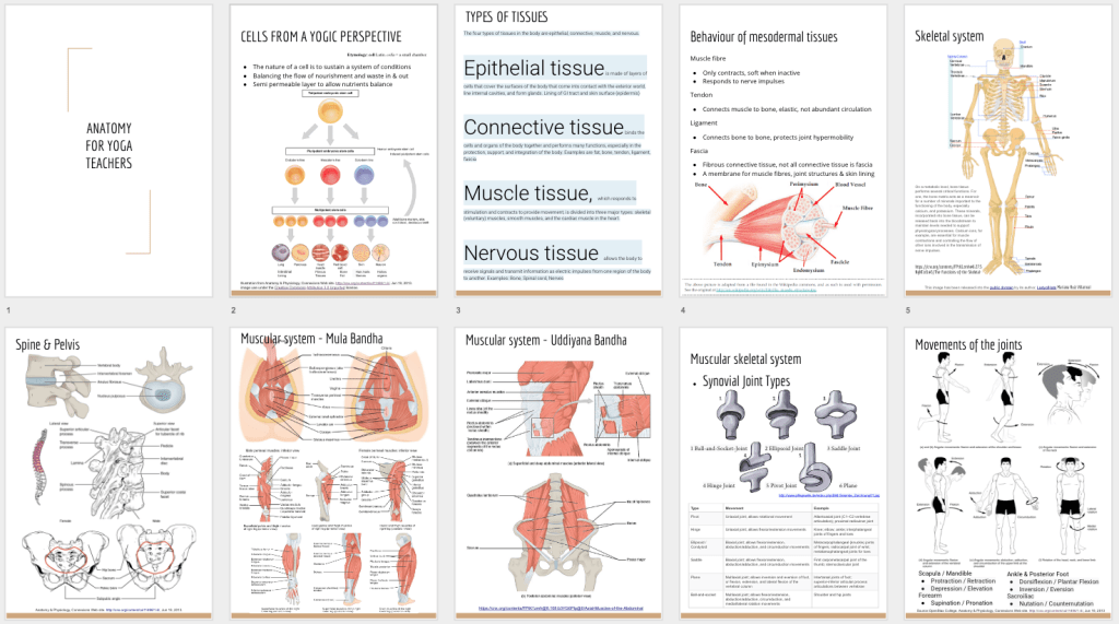 Functional Anatomy of Yoga course _______________________ 17 or 18 Nov – 1 + 15 Dec&nbsp;2018