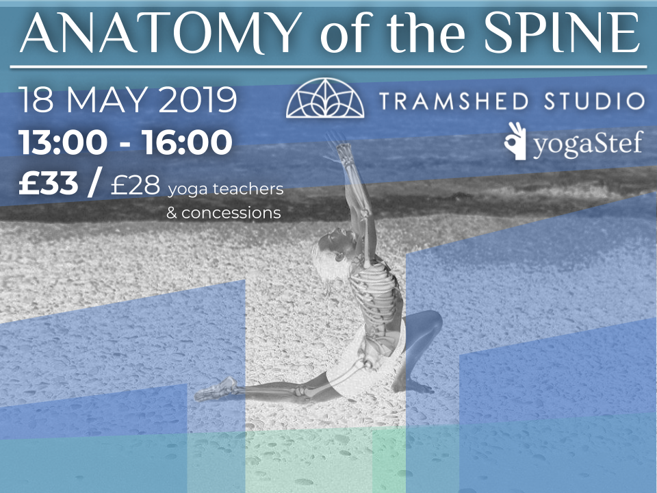 Anatomy of the Spine workshop – Cardiff