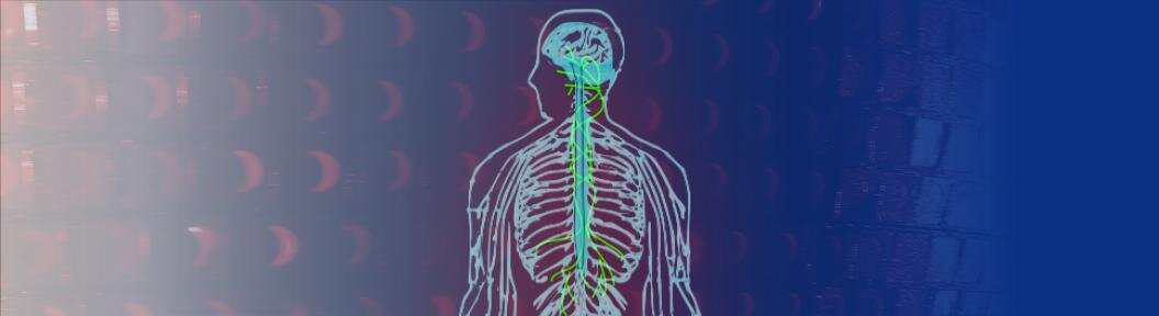 Polyvagal theory & yoga practice