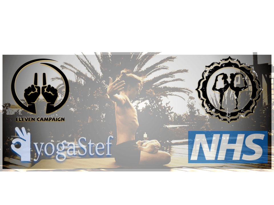 ANOTHER SYNERGY FUNDRAISER ANNOUNCED FOR NHS Sunday 19/4/2020 2pm gmt with Eleven&nbsp;Campaign